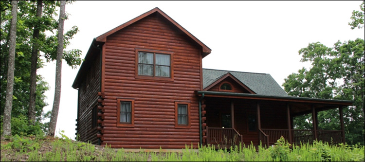 Professional Log Home Borate Application  Defiance County, Ohio