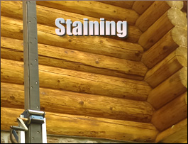  Defiance County, Ohio Log Home Staining
